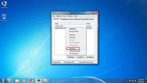 Windows 7 Task Manager, End Task